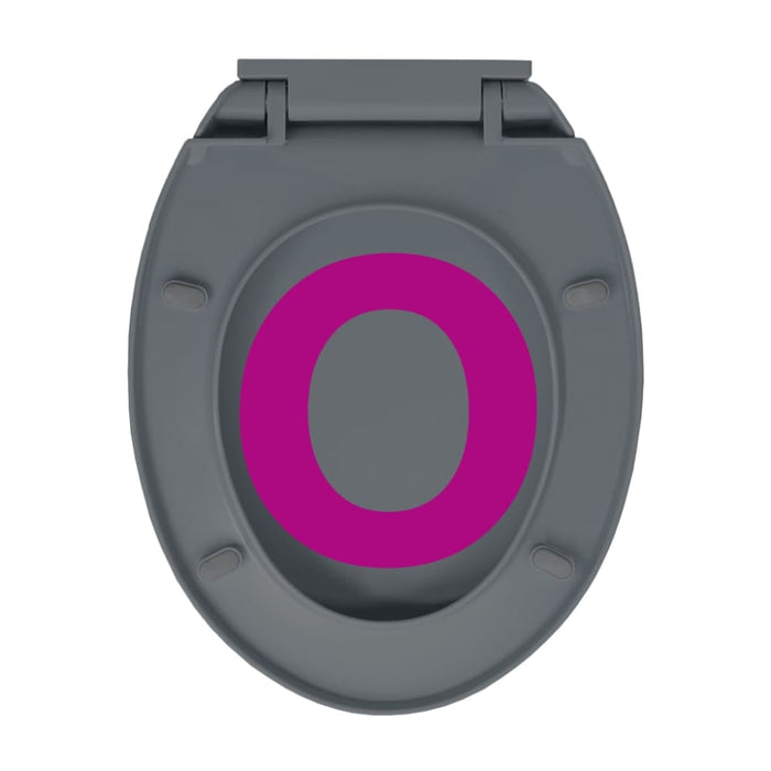 Soft-close Toilet Seat Quick Release Grey Oval Oapnoi