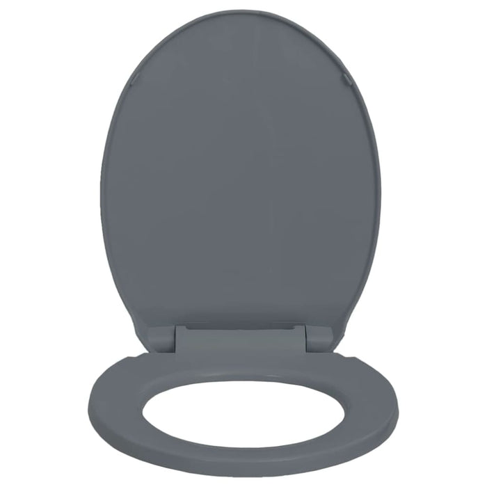 Soft-close Toilet Seat Quick Release Grey Oval Oapnoi