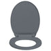 Soft-close Toilet Seat Quick Release Grey Oval Oapnoi
