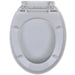 Soft-close Toilet Seat White Oval Oaoilx