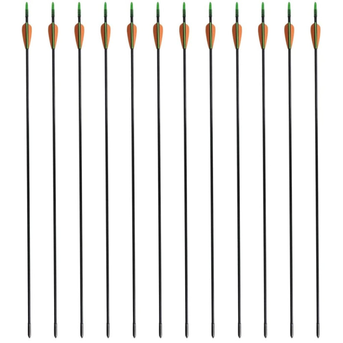 Standard Recurve Bow Arrows 30 0.6 Cm Fiberglass 12 Pcs 