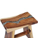 Stool Solid Suar Wood and Polyresin Xnolai