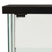 Storage Cabinet Tempered Glass Black Txxikn