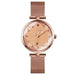 Three Dimensional Glass Dial Quartz Mesh Steel Strap Women