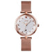 Three Dimensional Glass Dial Quartz Mesh Steel Strap Women