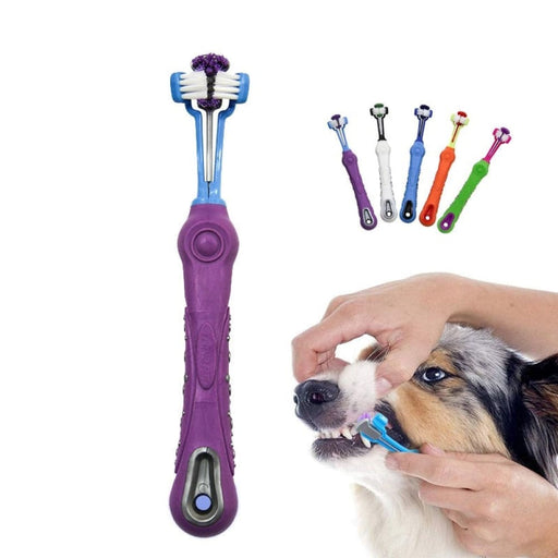 Three - sided Comfortable Healthy Dental Care Dog Tooth