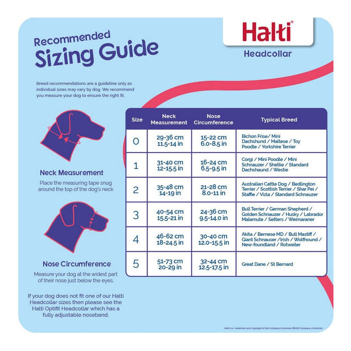 Dog Training Collars Company of Animals Halti Black Muzzle