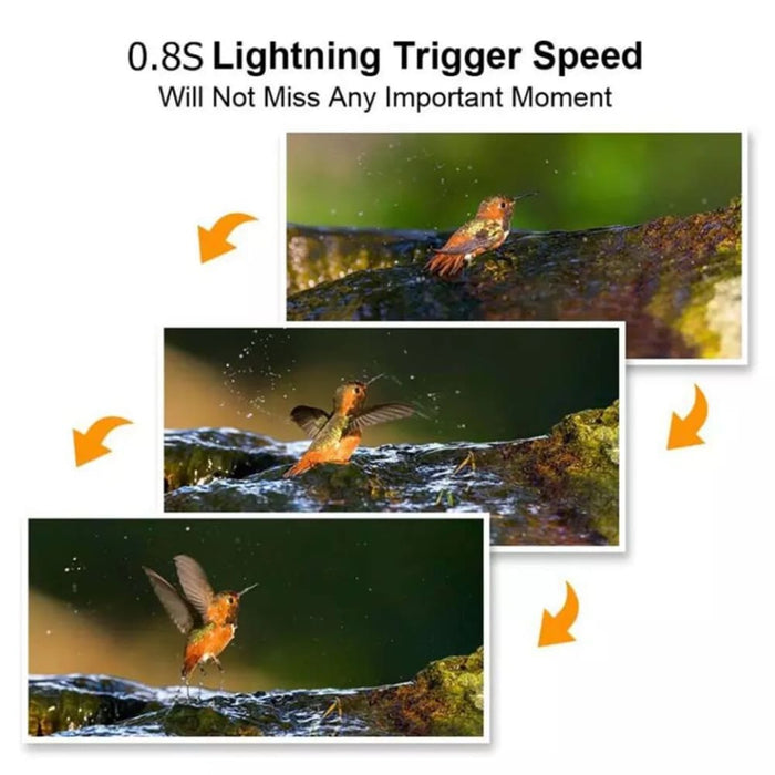 Waterproof 12mp Wild Animal Detector Invisible Infrared