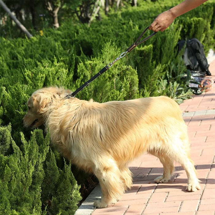 Wired Design Leather p Chain Collar