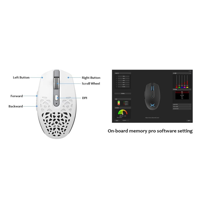 Wired + Wireless Gaming Mouse